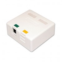 2-Port Surface Mount Box